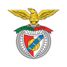 벤피카