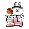 팀 코니